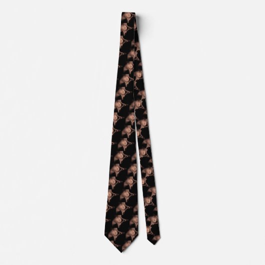 CRAVATE ROSE FRACTAL BROWN ANTIQUE EN NOIR (Devant)