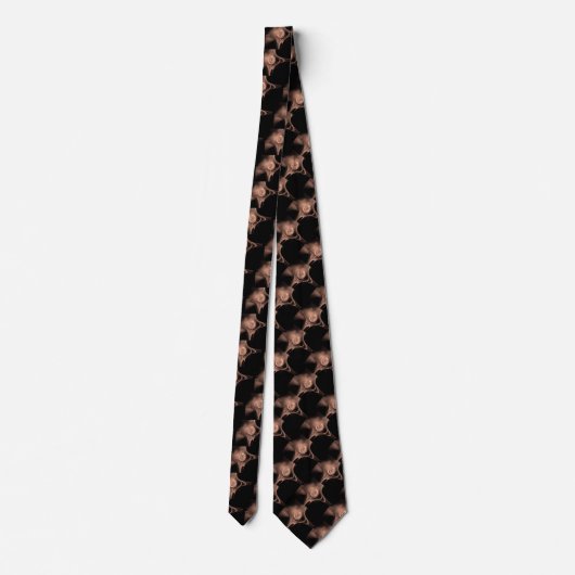 CRAVATE ROSE FRACTAL BROWN ANTIQUE EN NOIR (Dos)