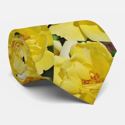 Cravate rose jaune (Roulé)