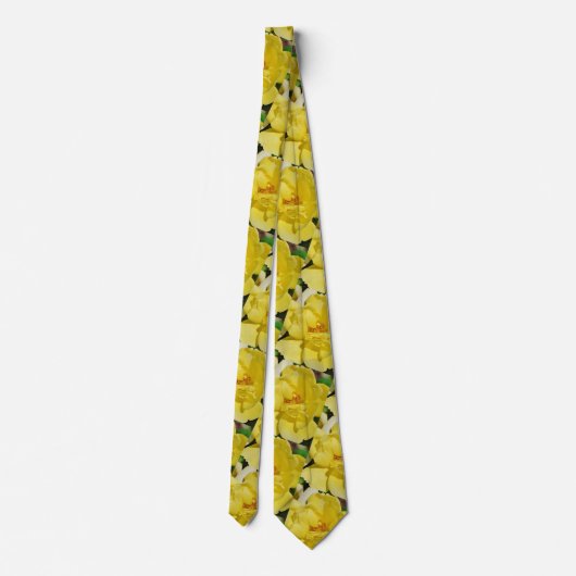 Cravate rose jaune (Dos)