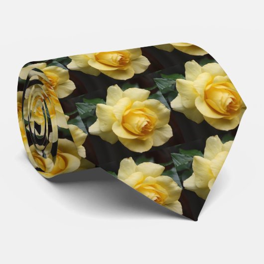 Cravate rose jaune (Roulé)