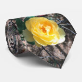 Cravate Rose jaune (Roulé)