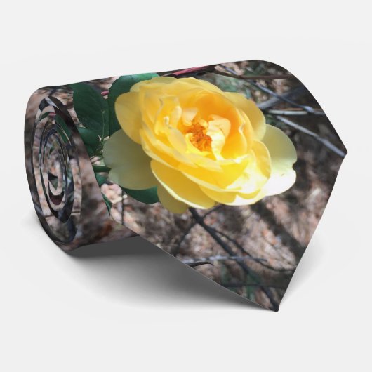 Cravate Rose jaune (Roulé)