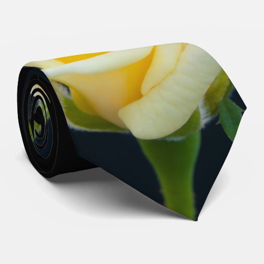 Cravate Rose jaune sur l'arrière - plan noir (Roulé)