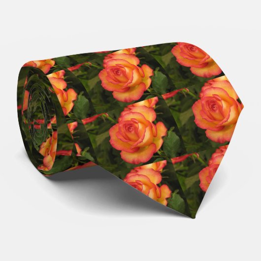 Cravate Rose orange (Roulé)