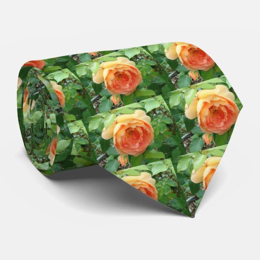 Cravate Rose orange (Roulé)