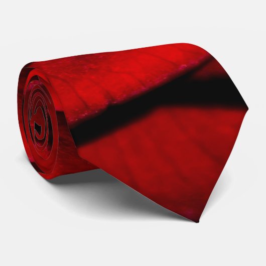 Cravate Rose rouge (Roulé)