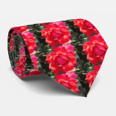 Cravate Rose rouge / corail rose chaud (Roulé)