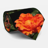 Cravate Roses d'orange de citrouille (Roulé)