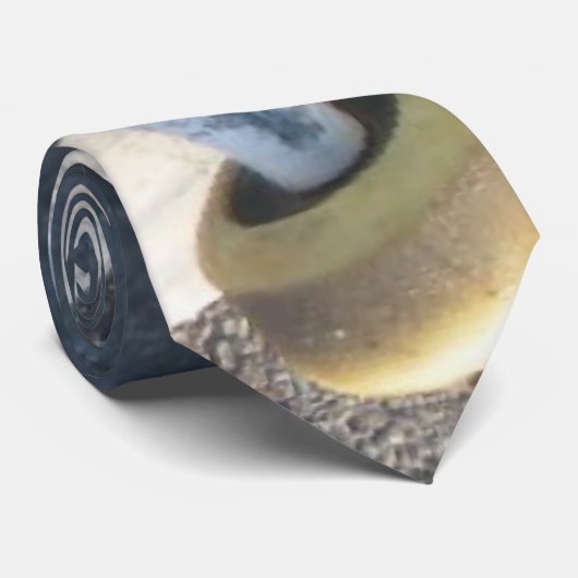 Cravate Roue de patin (Roulé)