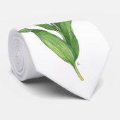 Cravate rouge de tulipe (Roulé)