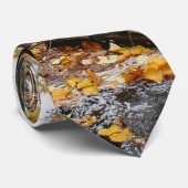 Cravate Ruisseau de Fall avec reflet au parc Laurel Hill (Roulé)
