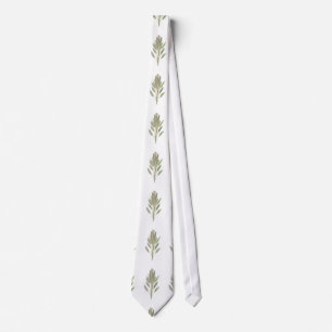 Cravate Sage herb botanical plant greenery Kitchen