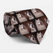 Cravate Samoyed and Husky (Roulé)