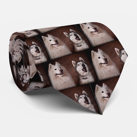 Cravate Samoyed and Husky (Roulé)