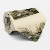 Cravate Sandpiper solitaire des oiseaux d'Amérique d'Audub (Roulé)