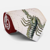 Cravate Scopio (Roulé)