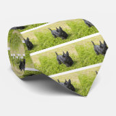 Cravate Scottish Terrier (Roulé)