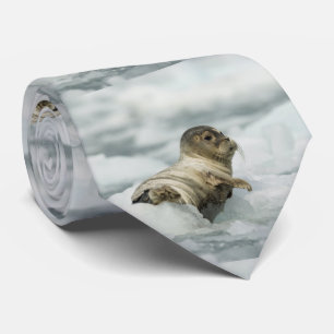 Cravate Seal bébé doux