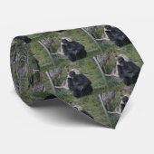 Cravate Séance de gorille (Roulé)