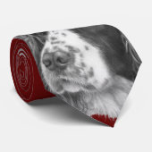 Cravate SebastiAn, épagneul de springer anglais (Roulé)