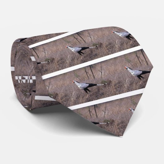 Cravate Secrétaire oiseau (Roulé)