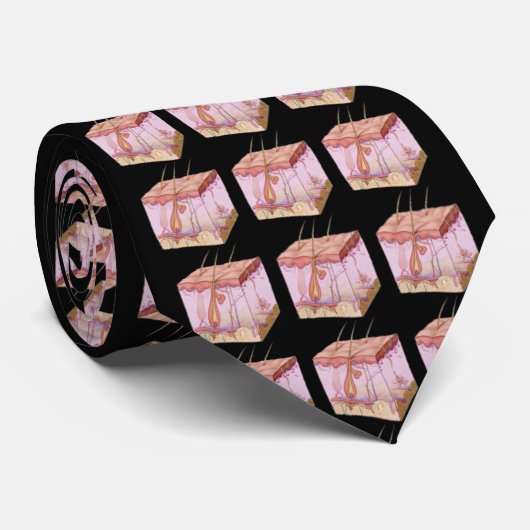 Cravate Section Peau sur l'arrière - plan noir (Roulé)