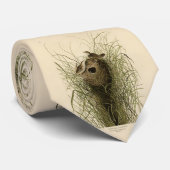 Cravate Sedge Wren de Audubon's Birds of America (Roulé)