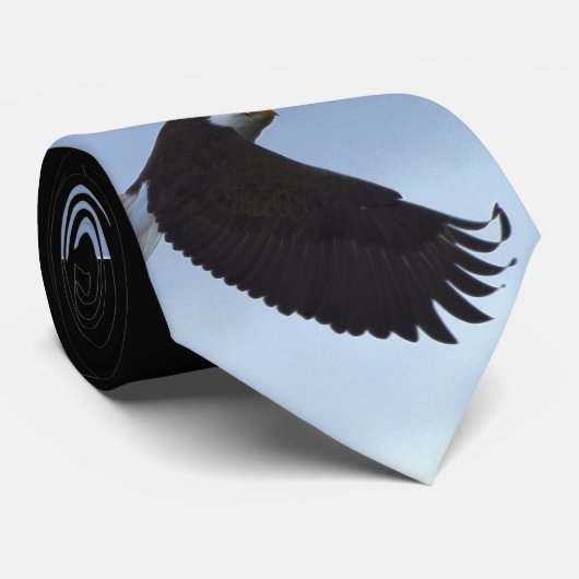 Cravate Série RÉALISATION (Roulé)