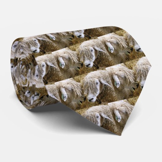 CRAVATE SHEEP (Roulé)