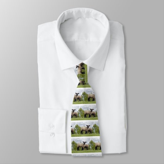 Cravate sheep (Attaché)