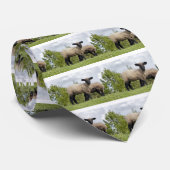 Cravate sheep (Roulé)