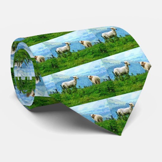 CRAVATE SHEEP DE MONTAGNE (Roulé)