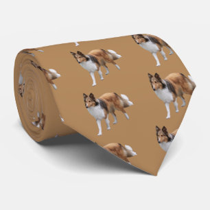 Cravate Shetland Sheepdog
