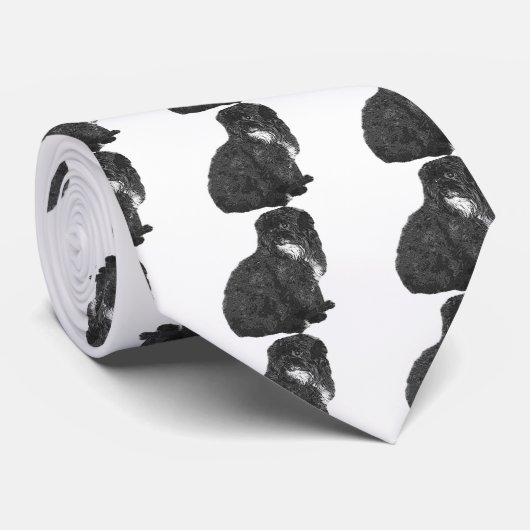 Cravate Shih Poo (Roulé)