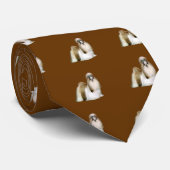 Cravate Shih Tzu (présentation de concours) (Roulé)
