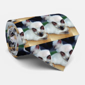 Cravate Siamese Kittens (Roulé)