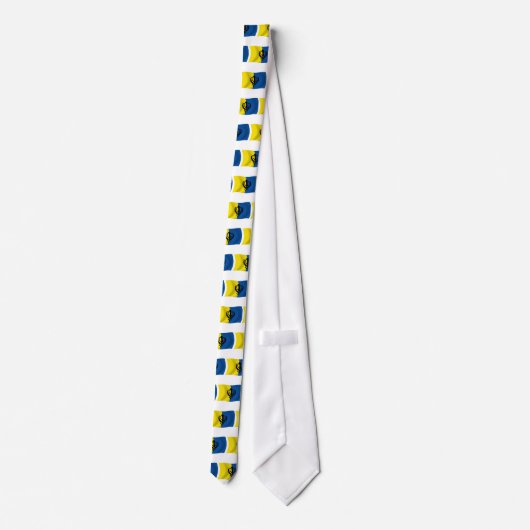Cravate Sikhism Flag Tie (Dos)