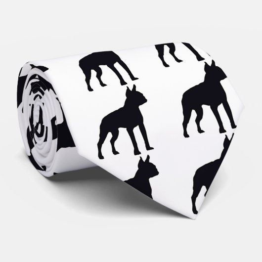 Cravate Silhouette de Boston (Roulé)