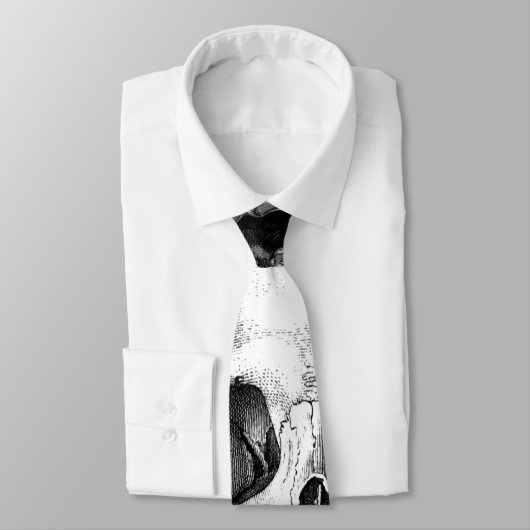 Cravate Skullking (Attaché)