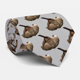 Cravate Sloth