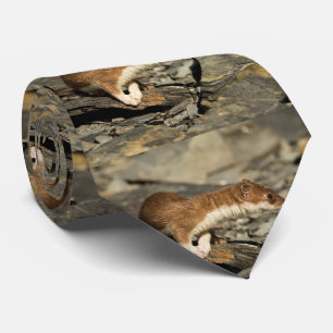 Cravate Sniffing Weasel