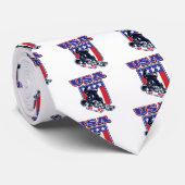 Cravate Snowboardeur USA (Roulé)