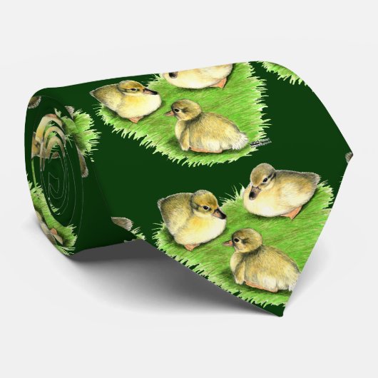 Cravate Snowy Mallard (Roulé)