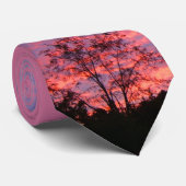 Cravate Soleil rose vif (Roulé)