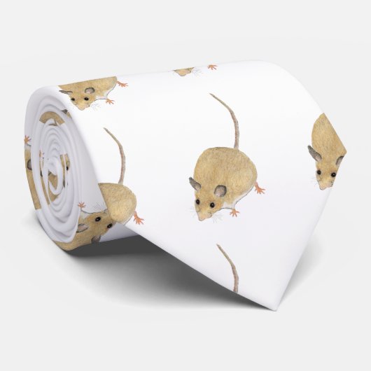 Cravate Souris (Roulé)