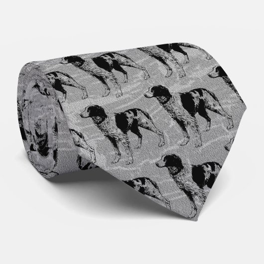 Cravate spaniel breton (Roulé)