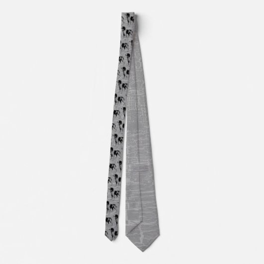 Cravate spaniel breton (Dos)