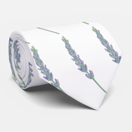 Cravate Sprig Lavender (Roulé)