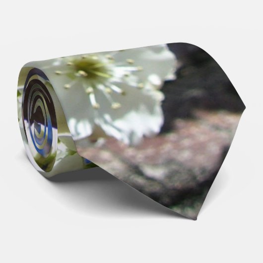 Cravate Spring Flowering Pear Tree (Roulé)